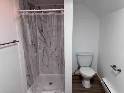 Bath - 7588 Mill St, Vanderbilt, MI 49795 photo 7 of 8