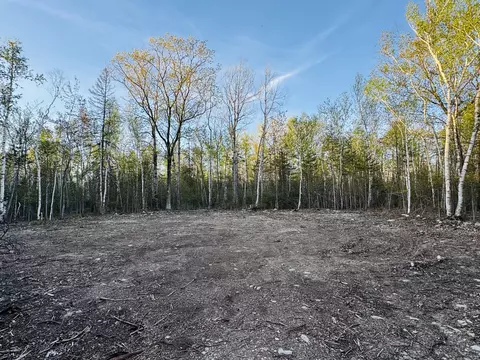 lot195 Kauffman Rd, Presque Isle, MI 49777
