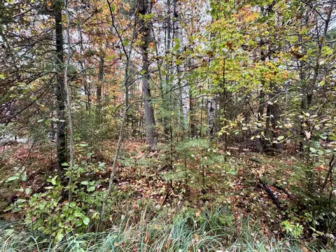 4962 Chamberlain Rd, Cheboygan, MI 49721 photo 5