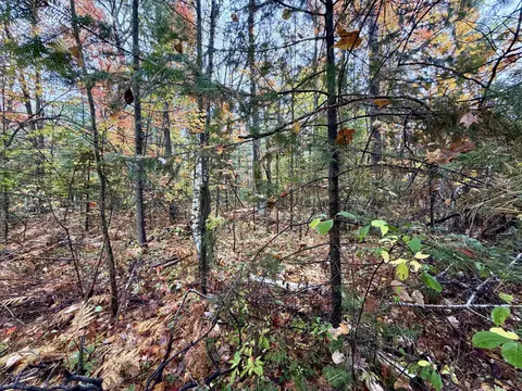 4962 Chamberlain Rd, Cheboygan, MI 49721 photo 3