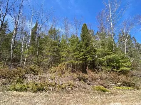 lot254 Pineview Dr #122-165-000-254-00, Presque Isle, MI 49777