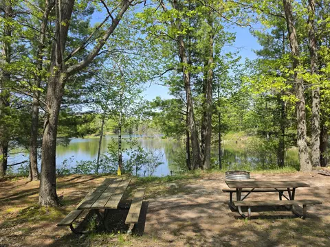 1 20 Ac Doll Rd #1.20 ACRES, Lupton, MI 48635 photo 34
