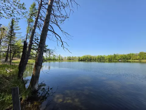 1 20 Ac Doll Rd #1.20 ACRES, Lupton, MI 48635 photo 7