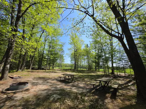 1 20 Ac Doll Rd #1.20 ACRES, Lupton, MI 48635 photo 21