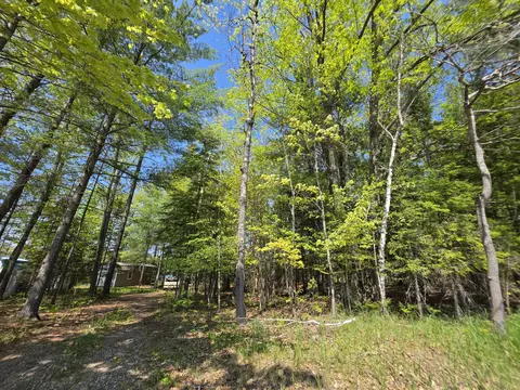 1 20 Ac Doll Rd #1.20 ACRES, Lupton, MI 48635 photo 36