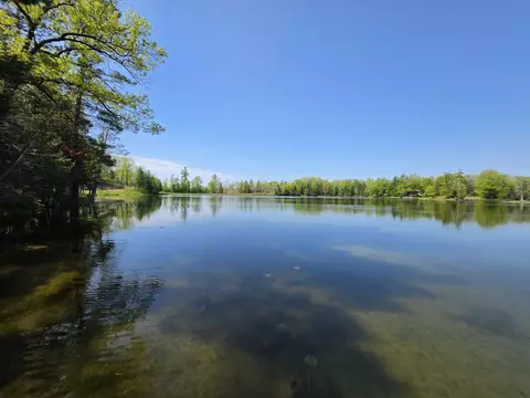 1 20 Ac Doll Rd #1.20 ACRES, Lupton, MI 48635 photo 27
