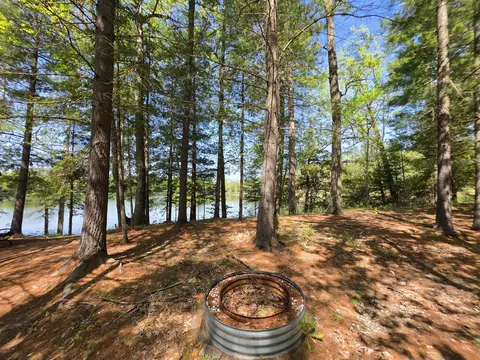 1 20 Ac Doll Rd #1.20 ACRES, Lupton, MI 48635 photo 19