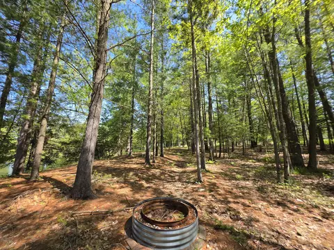1 20 Ac Doll Rd #1.20 ACRES, Lupton, MI 48635 photo 18
