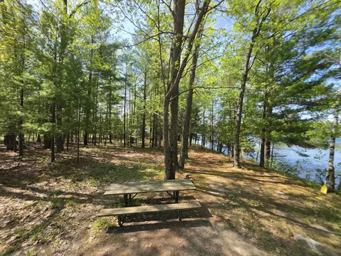 1 20 Ac Doll Rd #1.20 ACRES, Lupton, MI 48635 photo 32