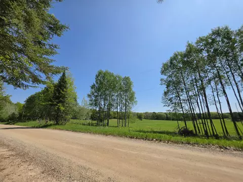 1 20 Ac Doll Rd #1.20 ACRES, Lupton, MI 48635 photo 38
