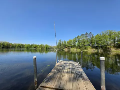 1 20 Ac Doll Rd #1.20 ACRES, Lupton, MI 48635 photo 26