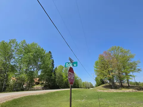 1 20 Ac Doll Rd #1.20 ACRES, Lupton, MI 48635 photo 39