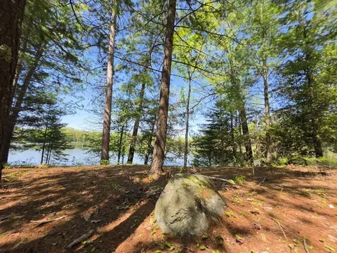 1 20 Ac Doll Rd #1.20 ACRES, Lupton, MI 48635 photo 20