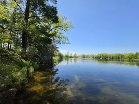 1 20 Ac Doll Rd #1.20 ACRES, Lupton, MI 48635 photo 25