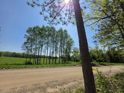 1 20 Ac Doll Rd #1.20 ACRES, Lupton, MI 48635 photo 37