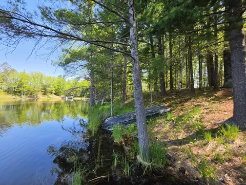 1 20 Ac Doll Rd #1.20 ACRES, Lupton, MI 48635 photo 5