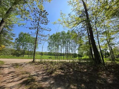 1 20 Ac Doll Rd #1.20 ACRES, Lupton, MI 48635 photo 33