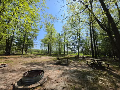 1 20 Ac Doll Rd #1.20 ACRES, Lupton, MI 48635 photo 22
