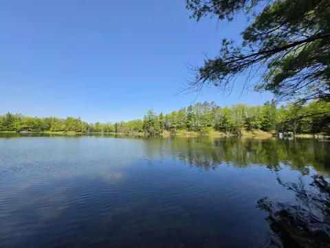 1 20 Ac Doll Rd #1.20 ACRES, Lupton, MI 48635 photo 6