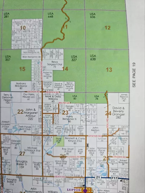 1 20 Ac Doll Rd #1.20 ACRES, Lupton, MI 48635 photo 41
