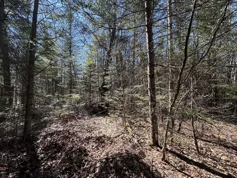 2 S 5 Ac S Gerber Rd #2.5 ACRES, Mio, MI 48647