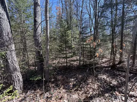 2 S 5 Ac S Gerber Rd #2.5 ACRES, Mio, MI 48647 photo 2