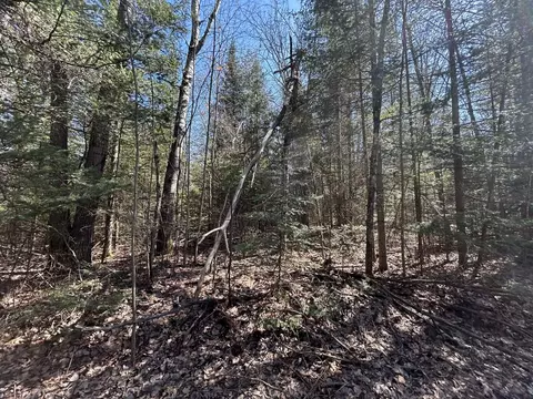 2 S 5 Ac S Gerber Rd #2.5 ACRES, Mio, MI 48647 photo 3