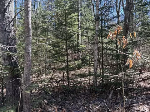 2 S 5 Ac S Gerber Rd #2.5 ACRES, Mio, MI 48647 photo 4