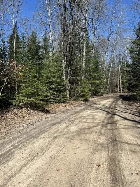 2 S 5 Ac S Gerber Rd #2.5 ACRES, Mio, MI 48647 photo 5