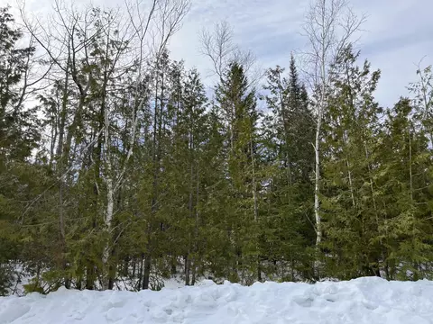 L 212-213 Shoreham Court, Presque Isle, MI 49777