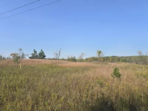 21 60 Ac Finnegan Rd #21.60 ACRES, Johannesburg, MI 49751