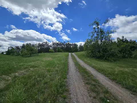 21 60 Ac Finnegan Rd #21.60 ACRES, Johannesburg, MI 49751
