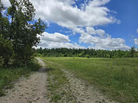 21 60 Ac Finnegan Rd #21.60 ACRES, Johannesburg, MI 49751