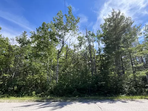lot310 Kauffman Rd, Presque Isle, MI 49777