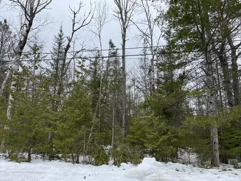 lot310 Kauffman Rd, Presque Isle, MI 49777