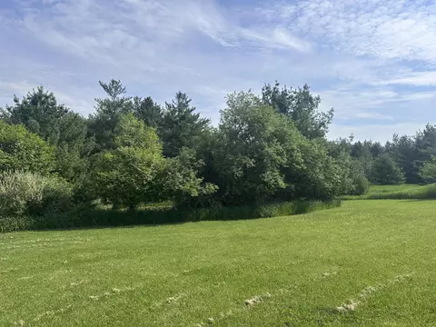 Exterior - 1932 Knepp Rd, Fairview, MI 48621 photo 5 of 10