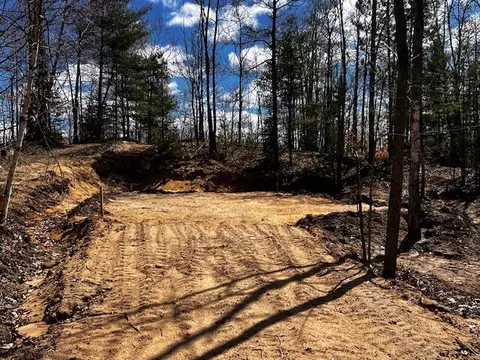 16253 Timberline Dr #LOT 101, Wolverine, MI 49799 photo 3
