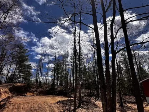 16253 Timberline Dr #LOT 101, Wolverine, MI 49799 photo 4