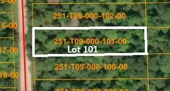 16253 Timberline Dr #LOT 101, Wolverine, MI 49799