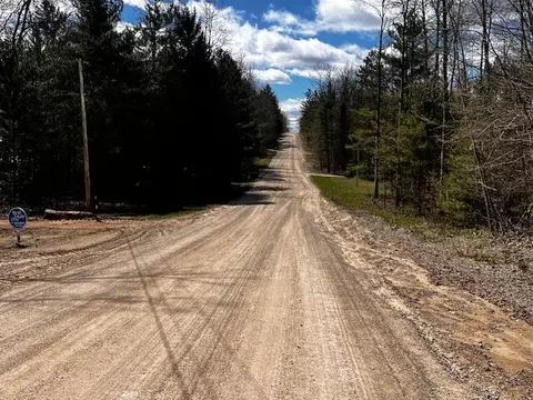 16253 Timberline Dr #LOT 101, Wolverine, MI 49799 photo 6
