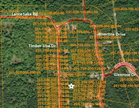 16253 Timberline Dr #LOT 101, Wolverine, MI 49799 photo 2