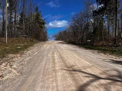 16253 Timberline Dr #LOT 101, Wolverine, MI 49799 photo 7