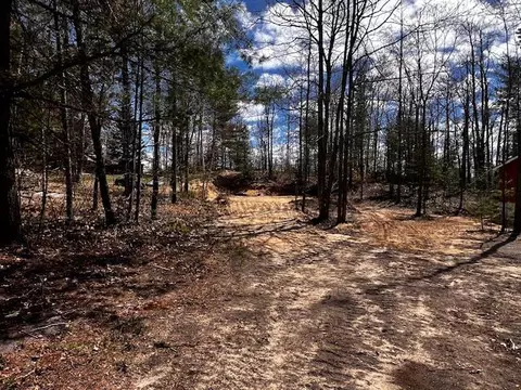 16253 Timberline Dr #LOT 101, Wolverine, MI 49799 photo 5
