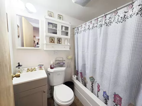 Bath - 6416 Jimary Ln, Gladwin, MI 48624 photo 1 of 1