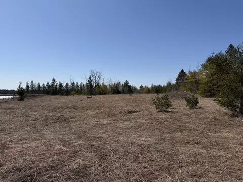 160 Ac M32 W #160 ACRES, Alpena, MI 49707