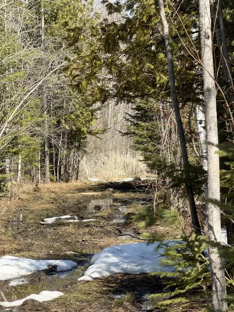 139 Ac Witt Rd #139 ACRES, Alpena, MI 49707