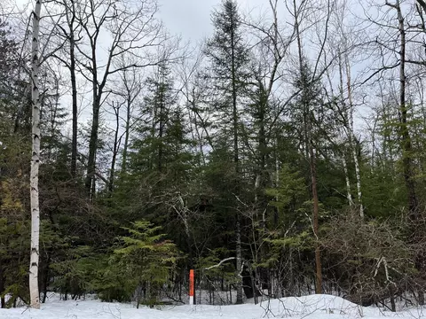 L 414-415 Woodhaven Drive, Presque Isle, MI 49777