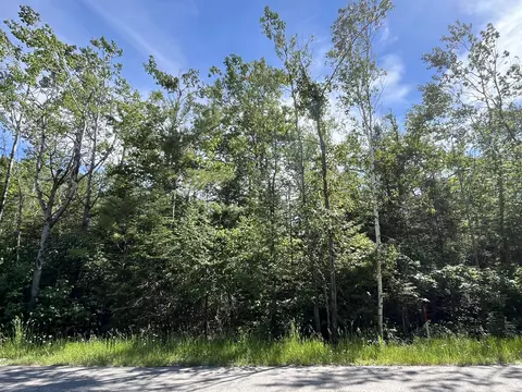 L 414-415 Woodhaven Drive, Presque Isle, MI 49777