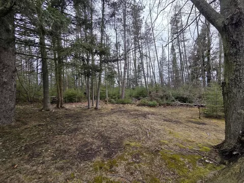 lot S 31-33 Iroquois Ave #LOT 31-33, Prudenville, MI 48651