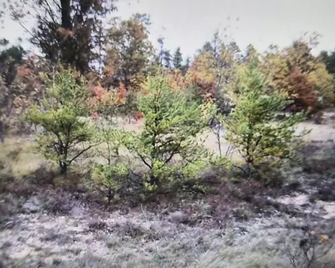 lot2 Northwood Dr, Grayling, MI 49738